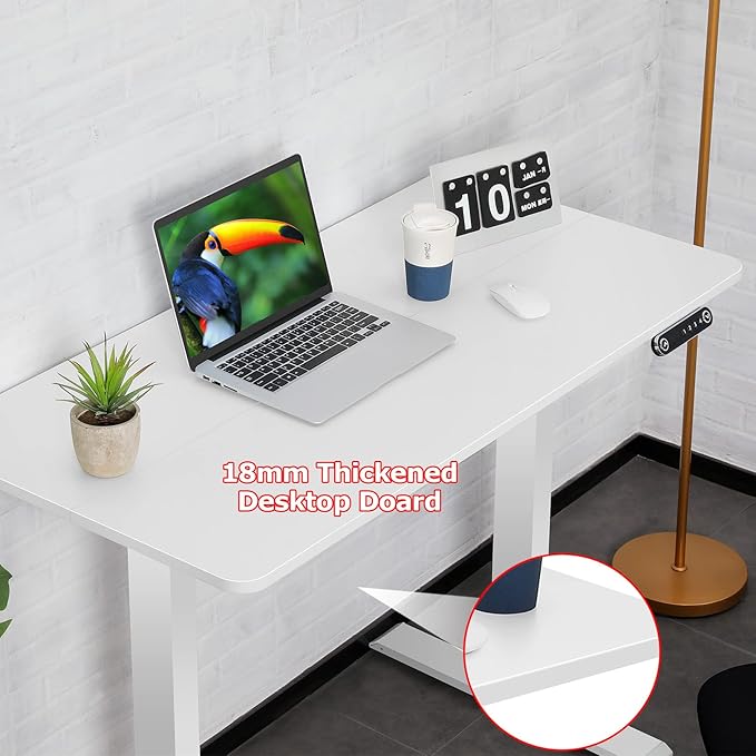 farexon 48 x 24 inch Standing Desk Electric Adjustable Height with Charging Station,USB Outlets, Stand up Desk with Ergonomic Workstation, 18mm Tabletop(White)