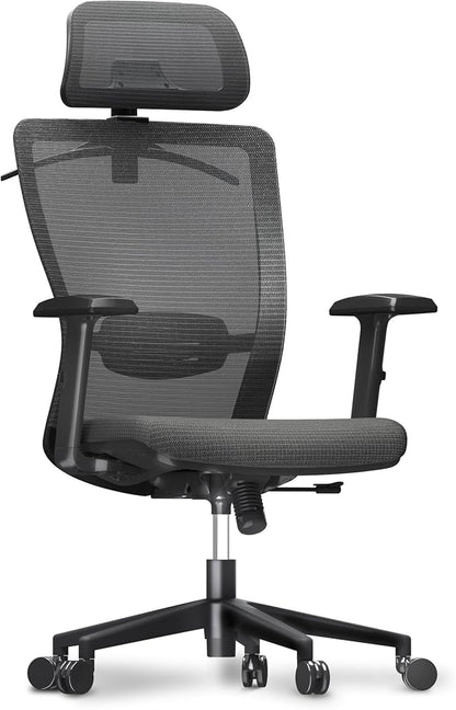 FLEXISPOT Classic Ergonomic Office Chair with High Back Swivel Computer Chair Executive Office Desk Chairs, with Lumbar Support/2D Headrest/Lockable Tilt Function, Foam Seat Cushion, Gray