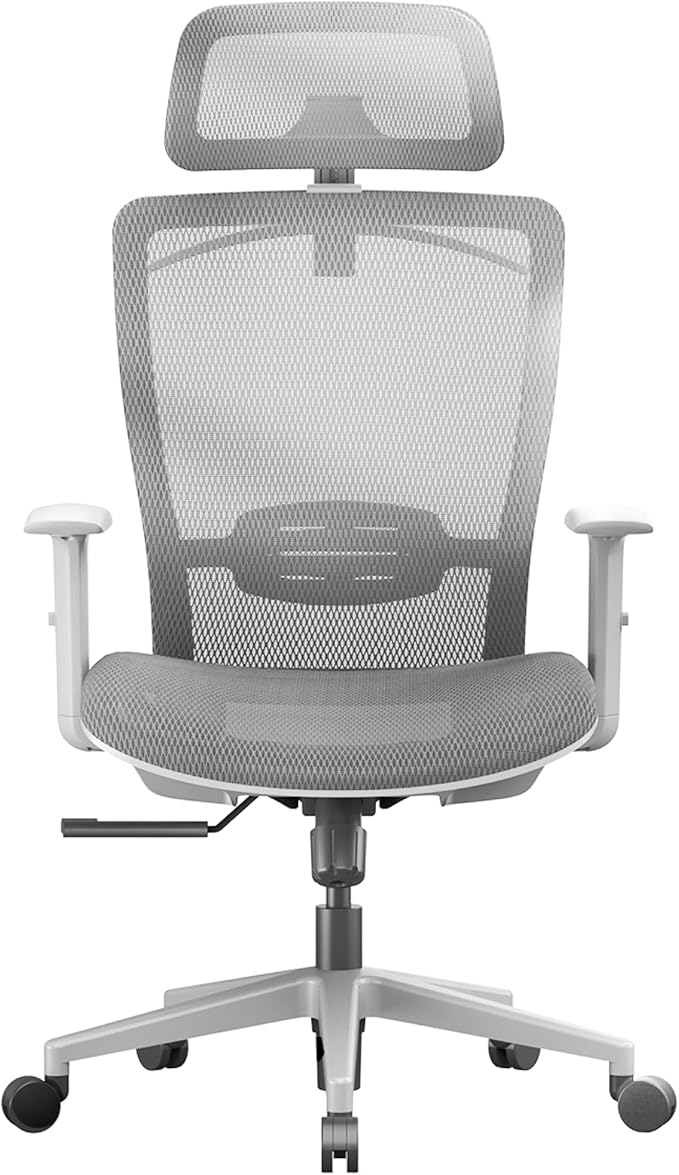 FLEXISPOT OC3 Air Ergonomic Office Chair High Back Computer Chair with Adjustable Lumbar Support/Armrest/, Breathable Mesh Seat Cushion Backrest, Chairs for Home Office Gaming Working, Light Gray