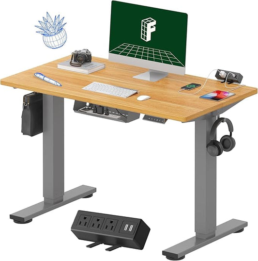 FLEXISPOT EN2 Whole-Piece Standing Desk with Clamp Power Strip, 40 x 24 Electric Stand Up Height Adjustable Desk with Cable Management (Gray Frame + Maple Top, 2 Packages)