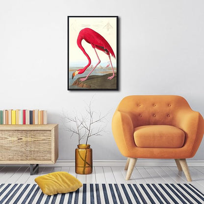 Wieco Art Framed Canvas Print Wall Art American flamingo by John James Audubon The Birds of America Reproductions Art Print for Living Room Bedroom Home Kitchen Decorations