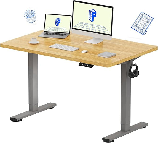 FLEXISPOT EN1 One-Piece Height Adjustable Desk 48 x 30 inch Electric Standing Desk for Home Office (Silver Frame + 48" Natural Top, 2 Packages)
