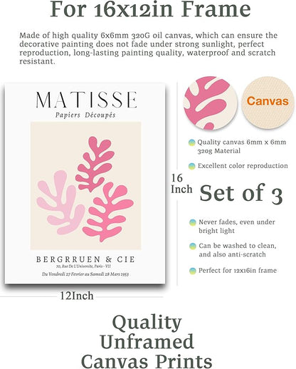 Matisse Wall Art Decor Set of 3,Abstract Matisse Wall Art Exhibition Posters,Unframed sage Pink wall art,Truly Quality Canvas Prints for 12x16in,Art Poster Decoration for Kitchen,