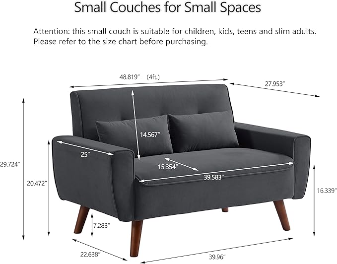 48" Small Loveseat Sofa, Mid Century Modern Love Seat with Back Cushions and Plastic Legs, 2 Seater Couches for Living Room, Bedroom, Small Spaces, Dark Grey