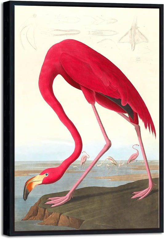 Wieco Art Framed Canvas Print Wall Art American flamingo by John James Audubon The Birds of America Reproductions Art Print for Living Room Bedroom Home Kitchen Decorations