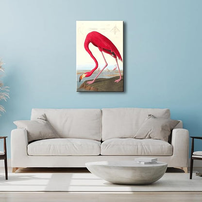 Wieco Art Canvas Print Wall Art American flamingo by John James Audubon The Birds of America Reproductions Art Print Picture Artwork for Living Room Bedroom Home Kitchen Decorations