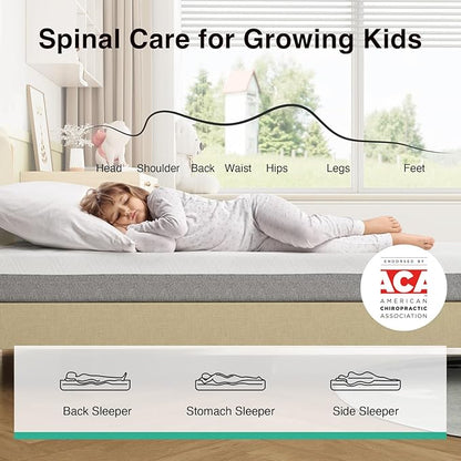 Novilla Mattress Twin XL, 8-Inch Gel Memory Foam Mattress for Pressure Relief, Enhanced Support & Plush Comfort, Twin XL Bed in a Box, Bliss