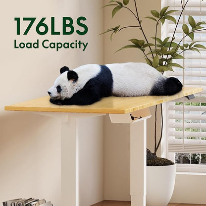 FLEXISPOT EN2 Whole-Piece Bamboo Standing Desk Clamp Power Strip, 55 x 28 Electric Stand Up Height Adjustable Desk with Cable Management (Grey Frame + 55" Bamboo Top, 2 Packages)