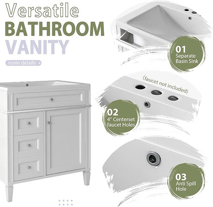 30" Bathroom Vanity with Matching Medicine Cabinet, Modern Sink Storage Cabinet with Drawers, Soft Closing Doors and Shelf, Bathroom Vanities with Sink & Mirror