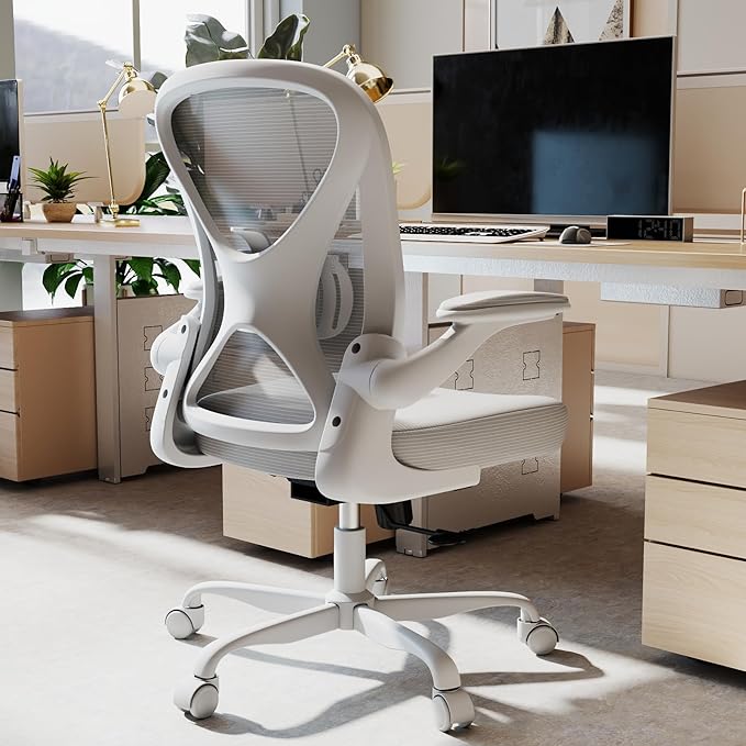 ZZH Ergonomic Office Chair with Adjustable Lumbar Support, Mesh Home Office Desk Chair with Wheels and Flip-up Arms, Grey