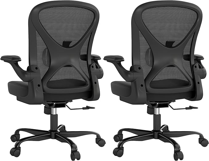 ZZH Ergonomic Office Chair Set of 2 with Adjustable Lumbar Support, Mesh Home Office Desk Chair with Wheels and Flip-up Arms, Black