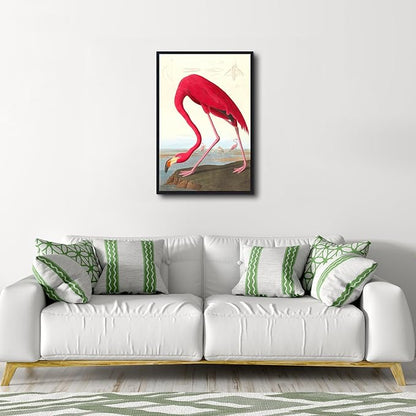 Wieco Art Framed Canvas Print Wall Art American flamingo by John James Audubon The Birds of America Reproductions Art Print for Living Room Bedroom Home Kitchen Decorations