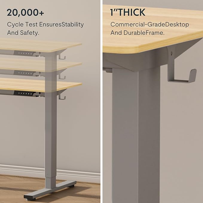 FLEXISPOT EN1 One-Piece Electric Standing Desk, 55 x 28 inch Stand Up Desk for Home Office (Silver Frame + 55" Natural Top, 2 Packages)