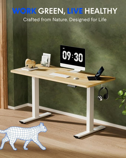 FLEXISPOT EN1 One-Piece Solid Wooden Standing Desk 48 x 24 Inches Height Adjustable Electric Sit Stand Home Office Desks (White Frame + Rubber Wood Top, 2 Packages)