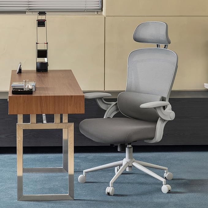 Nouhaus Ergo Fit Ergonomic Mesh Office Chair High Back Adjustable Lumbar Support Headrest and Adjustable Flip-up Armrests, Comfy Desk Chairs Swivel Computer Gaming Chair Tilt Function(N20, Grey)