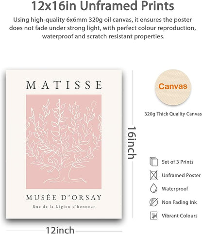 HesenDot Unframed Pink Wall Art Set of 3,12x16in Matisse Canvas Prints,Abstract Botanical Wall Decor Posters,Minimalist Modern Home Decoration for Living Room Bedroom Office