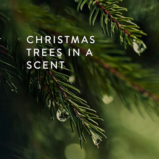 Thymes Frasier Fir Candle – Pine Needle Design – Holiday Scented Candle – Notes of Crisp Siberian Fir, Cedarwood & Sandalwood – Luxury Home Fragrance Gifts for Women & Men – Silver (Statement, 6.5 oz)