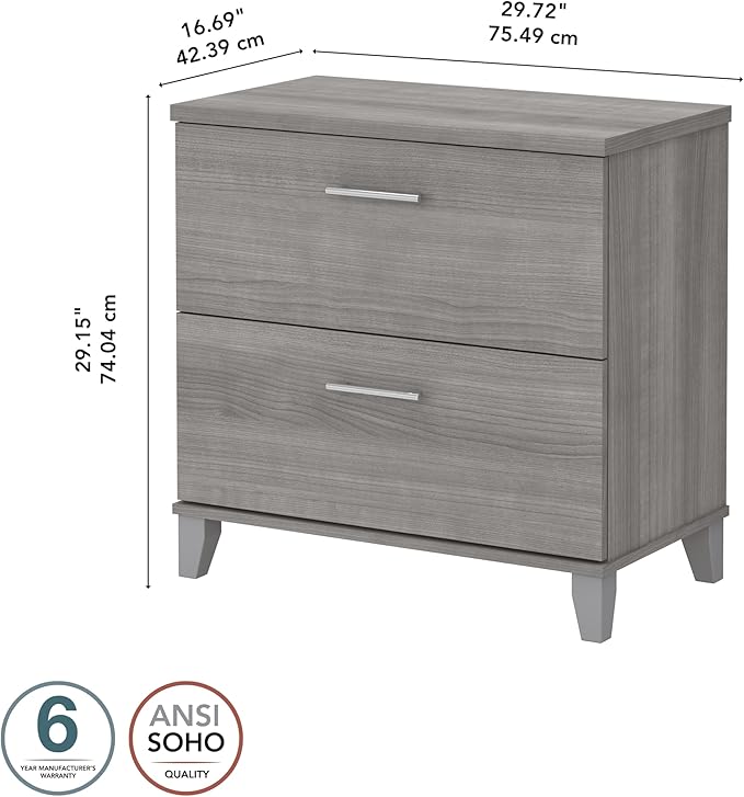 Bush Furniture 2 Drawer Lateral File Cabinet, Letter and Legal-Size Document Storage for Home or Professional Office, Somerset Collection, Platinum Gray