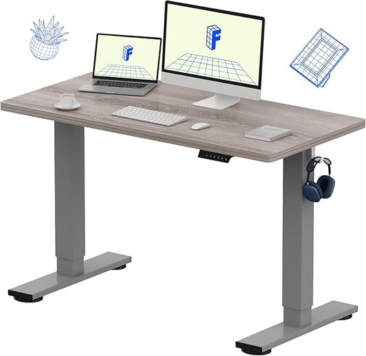 FLEXISPOT EN1 One-Piece Standing Desk 48 x 24 Inches Height Adjustable Electric Desk (Silver Frame + Grey Wood Grain Top, 2 Packages)