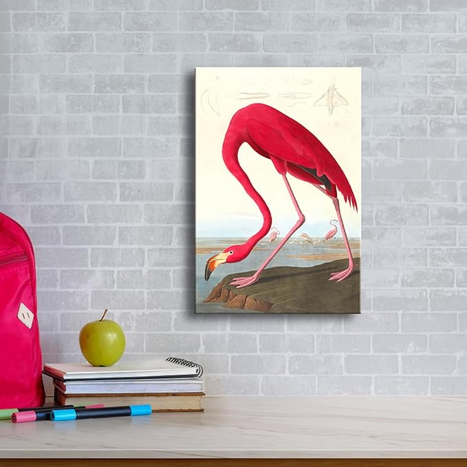 Wieco Art Canvas Print Wall Art American flamingo by John James Audubon The Birds of America Reproductions Art Print Picture Artwork for Living Room Bedroom Home Kitchen Decorations