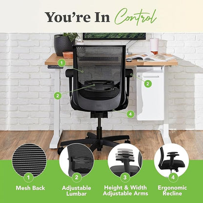 HON Convergence Ergonomic Office Chair, Breathable Back Support Mesh, Adjustable Arms, Computer Chair with Lumbar Support, Rolling Swivel Wheels, Comfortable Synchro-Tilt Recline, Fabric, Ruby