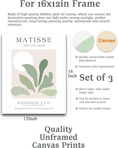 Unframed Sage Green Wall Art Set of 3,12x16IN Abstract Matisse Wall Decor,Quality Canvas Prints Posters Decoration for Bathroom Living Room Bedroom