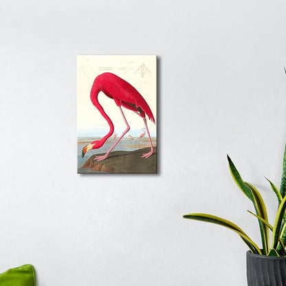 Wieco Art Canvas Print Wall Art American flamingo by John James Audubon The Birds of America Reproductions Art Print Picture Artwork for Living Room Bedroom Home Kitchen Decorations