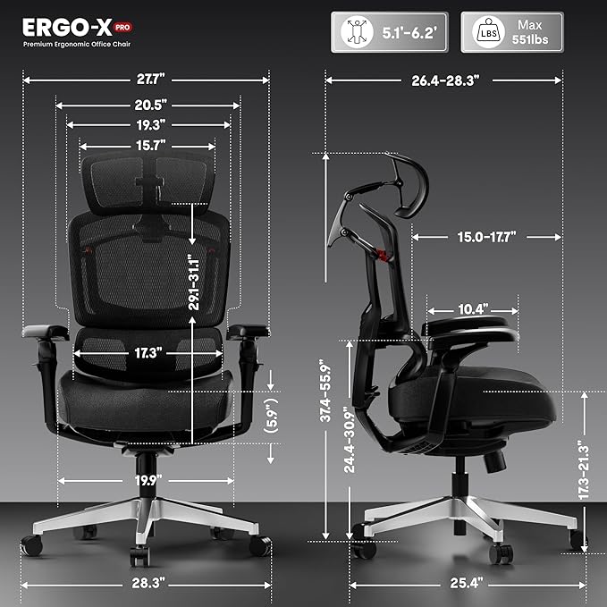 FLEXISPOT ErgoX-PRO Ergonomic Office Chair Black – Cloudtech Cushion, 5D Lumbar, 7D Armrests, 4D Headrest, 551LBS Capacity – Office, Gaming, Home