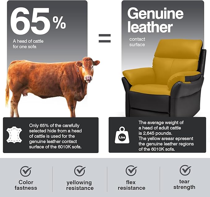 AIRSKY Genuine Leather Recliner Chair, Top Grain Leather, Italian Water-Washing Process, Recliner Chairs for Adults, Single Sofas for Living Room, Theater Seating, Bedroom. R1, Black
