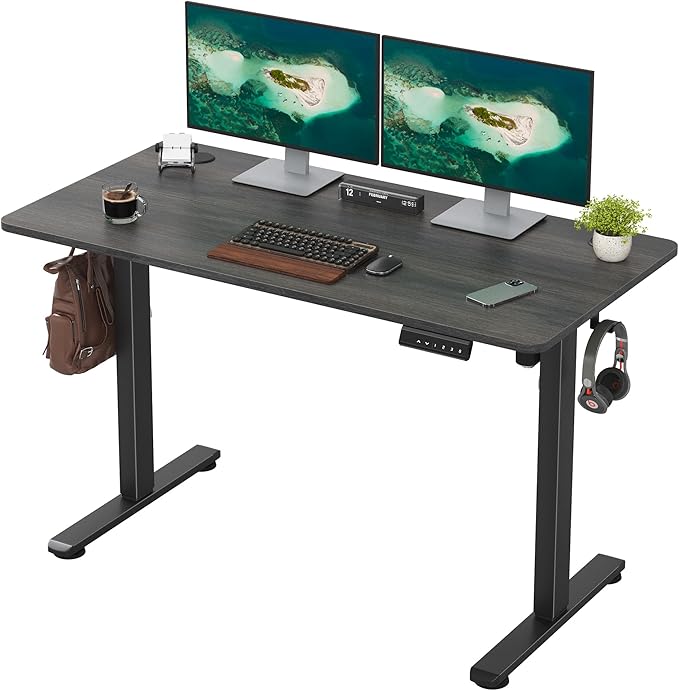 Casaphoria 47 x 24 inches Electric Standing Desk, Sit to Stand Desk with Memory Height Adjustment, Home Office Computer Desk for Writing and Games, Grey