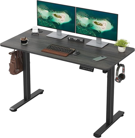 Casaphoria 47 x 24 inches Electric Standing Desk, Sit to Stand Desk with Memory Height Adjustment, Home Office Computer Desk for Writing and Games, Grey