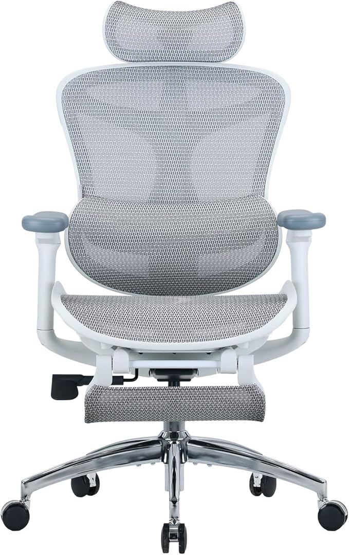 SIHOO Doro C300 Ergonomic Office Chair with Footrest, Ultra Soft 3D Armrests, Dynamic Lumbar Support for Home Office Chair, Adjustable Backrest Desk Chair, Swivel Big and Tall Computer Chair (Grey)
