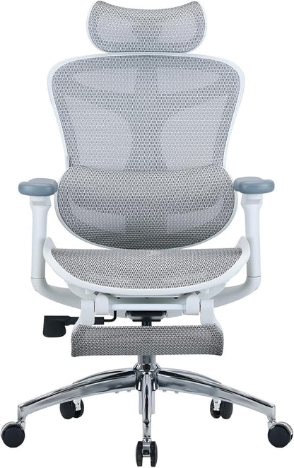 SIHOO Doro C300 Ergonomic Office Chair with Footrest, Ultra Soft 3D Armrests, Dynamic Lumbar Support for Home Office Chair, Adjustable Backrest Desk Chair, Swivel Big and Tall Computer Chair (Grey)