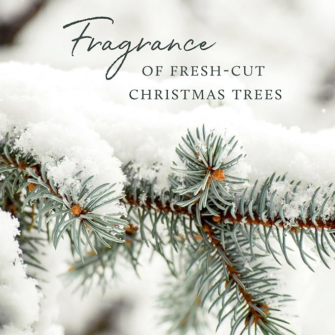 Thymes Frasier Fir Candle – Pine Needle Design – Holiday Scented Candle – Notes of Crisp Siberian Fir, Cedarwood & Sandalwood – Luxury Home Fragrance Gifts for Women & Men – Silver (Statement, 2 oz)