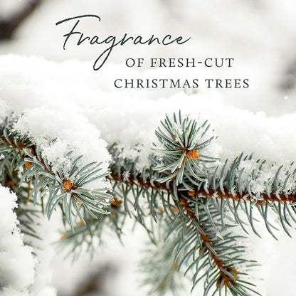 Thymes Frasier Fir Candle – Pine Needle Design – Holiday Scented Candle – Notes of Crisp Siberian Fir, Cedarwood & Sandalwood – Luxury Home Fragrance Gifts for Women & Men – Silver (Statement, 2 oz)