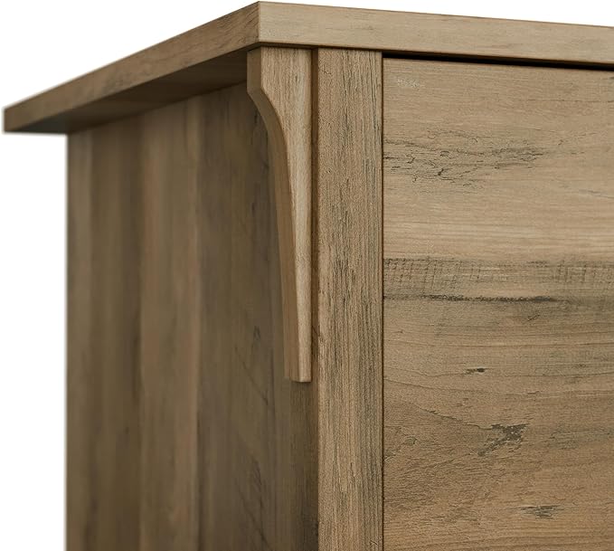 Bush Furniture Salinas 2 Drawer Lateral File Cabinet in Reclaimed Pine, Home Office Storage Solution, Organizer with Drawers for Workspace, Filing Unit