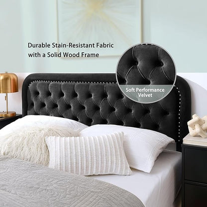 Tufted Upholstered Headboard,Button Solid Wood HeadBoards with Adjustable Height,Modern Performance Velvet Bed Head Boards,Easy Install&Nailhead (Black, Queen)