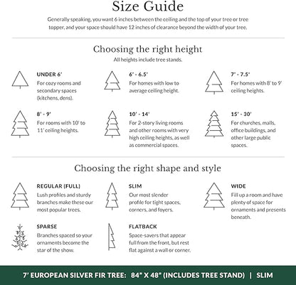 Balsam Hill European Silver Fir - Elegant Artificial Christmas Tree with True Needle Foliage Available Unlit or with LED Clear Lights, Unlit, 7'