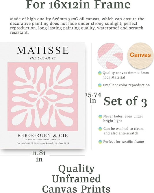 HesenDot Matisse Art wall Décor Set of 3,Unframed Blush & Salmon Pink wall art,Truly Quality Canvas Prints for 12x16in,Art poster decoration for kitchen, bathroom,living room,bedroom