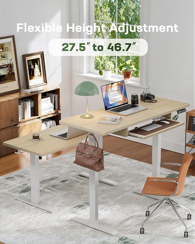 Marsail Electric Standing Desk with Ergonomic Keyboard Tray, Adjustable Desk with 27.5” to 46.7” Height Range, 4 Memory Presets, Smooth and Quiet Lifting, 55 x 24 inch Adjustable Height,TZESD15Modern