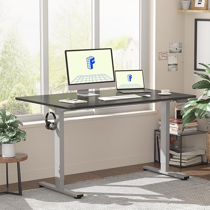 FLEXISPOT EN1 One-Piece Electric Height Adjustable Desk, 48 x 30 Inches Standing Desk Stand Up Desk Workstation (Silver Frame + 48 in Black Top, 2 Packages)