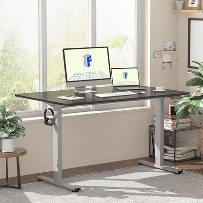 FLEXISPOT EN1 One-Piece Electric Height Adjustable Desk, 48 x 30 Inches Standing Desk Stand Up Desk Workstation (Silver Frame + 48 in Black Top, 2 Packages)