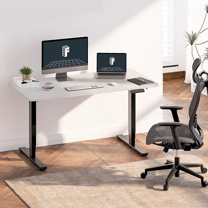 FLEXISPOT E6 3 Stages Dual Motor Electric Standing Desk 48x24 Inch Whole-Piece Board Height Adjustable Desk Electric Sit Stand Desk(Black Frame + White Desktop, 2 Packages)