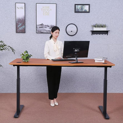 ApexDesk Elite Pro Series 60" x 27" Electric Height Adjustable Stand up Desk, Sit Stand Home Office Desk, Computer Desk - Curved Apple