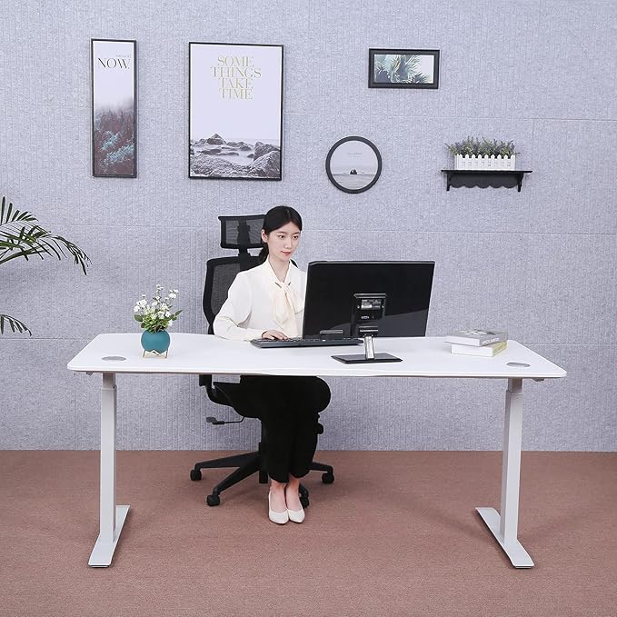ApexDesk Elite Pro Series 60" x 27" Electric Height Adjustable Stand up Desk, Sit Stand Home Office Desk, Computer Desk - Curved White