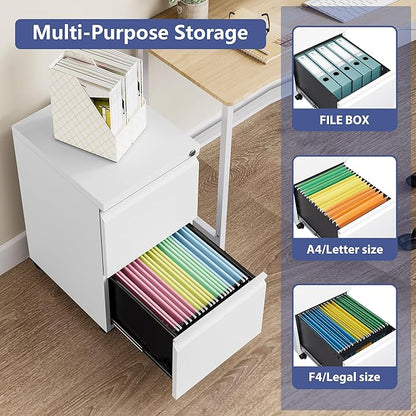Rolling File Cabinet with Lock, 2 Drawer Metal Mobile Office Filing Cabinet Under Desk for Legal/Letter Size(Assembly Required)
