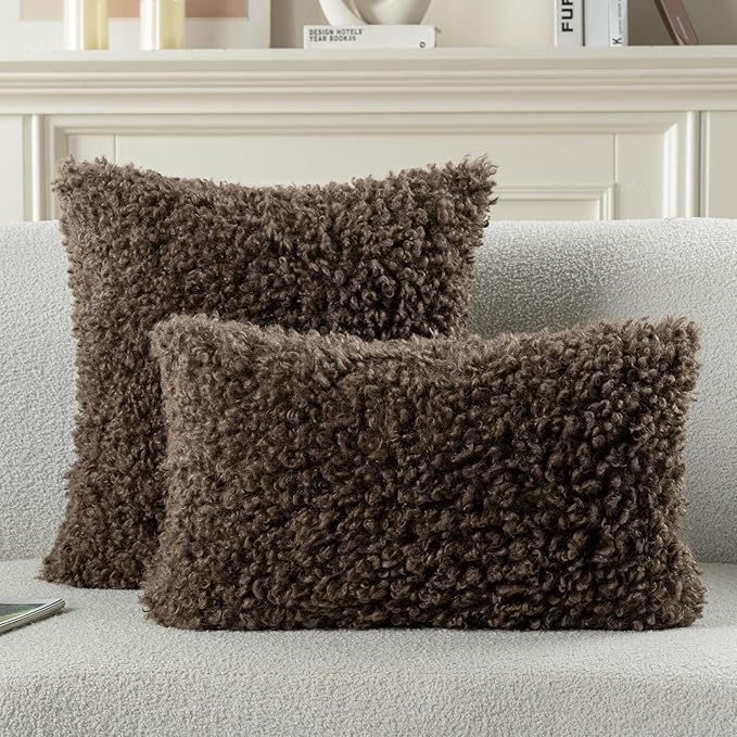 FUTEI Chocolate Decorative Throw Pillow Covers 24x24 Inch Set of 2,Soft Fluffy Faux Wool Fur Boucle Textured European Cushion Case,Modern Home Decor for Couch Bed Living Room Office