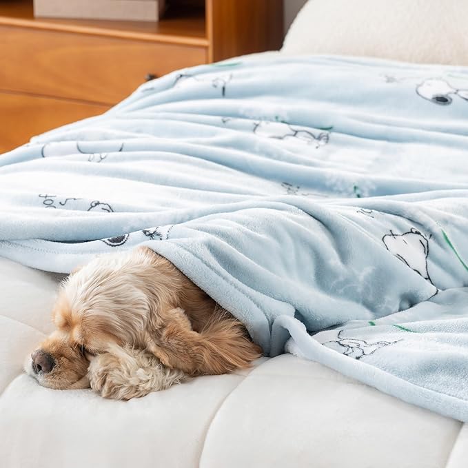 Berkshire Blanket Peanuts® VelvetLoft® Cute Character Snoopy Plush Throw Blanket,Peanuts Snoopy Make A Wish Spring Blue,Throw 55 in x 70 in (Official Peanuts® Product)