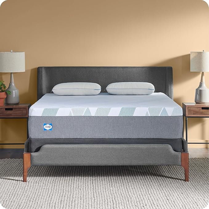Sealy Dreamlife 12” Foam Mattress-in-a-Box, Twin