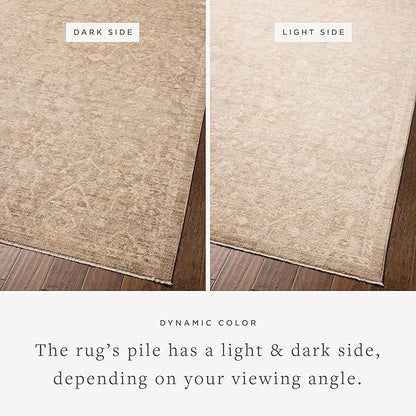 Loloi Chris Loves Julia Palma Collection PLM-01 Bark/Natural 2'-7" x 7'-6" Runner Rug Vintage Style Boho Living Room Bedroom Carpet